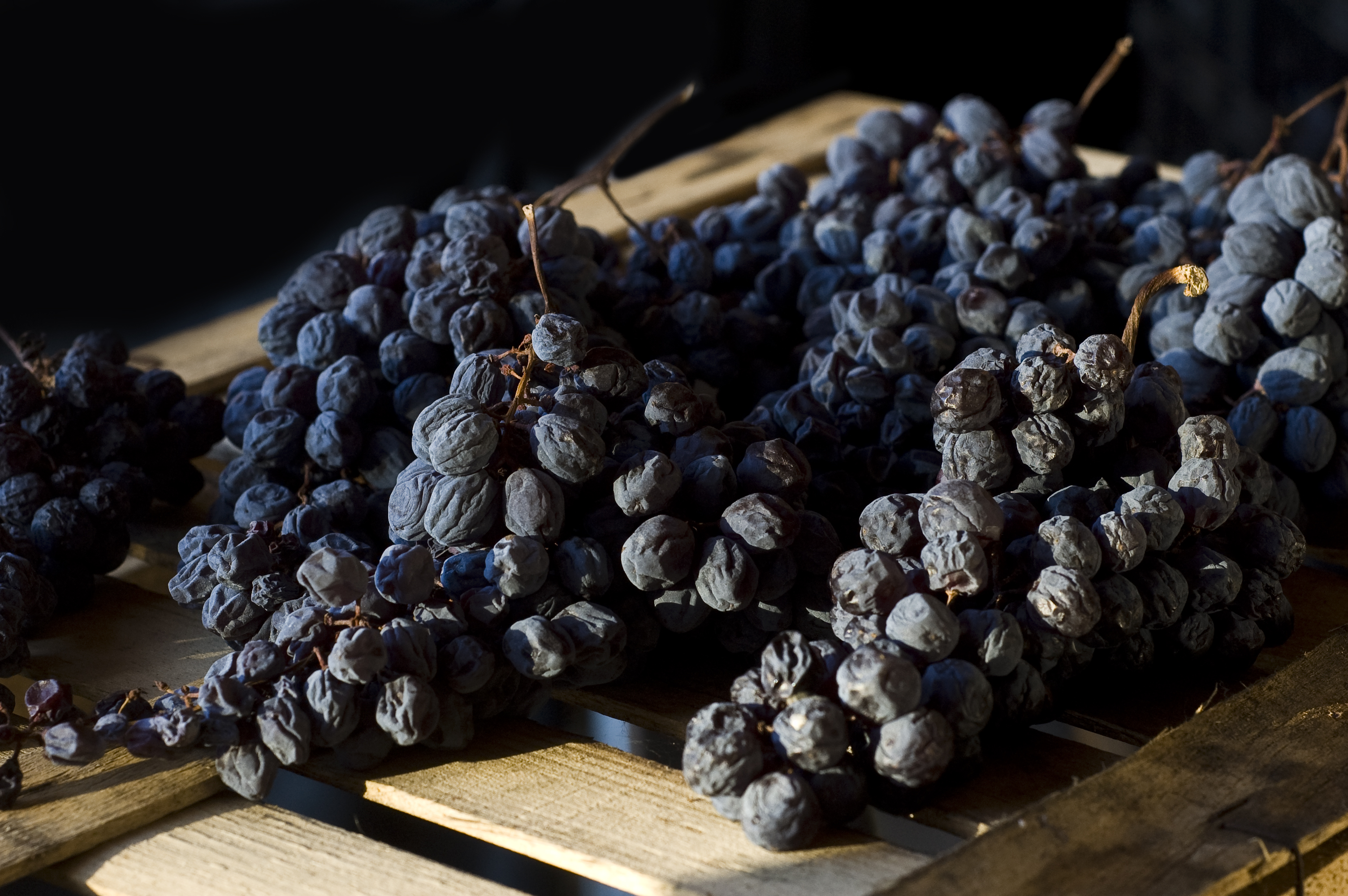 Vigneti della Valpolicella al tramonto