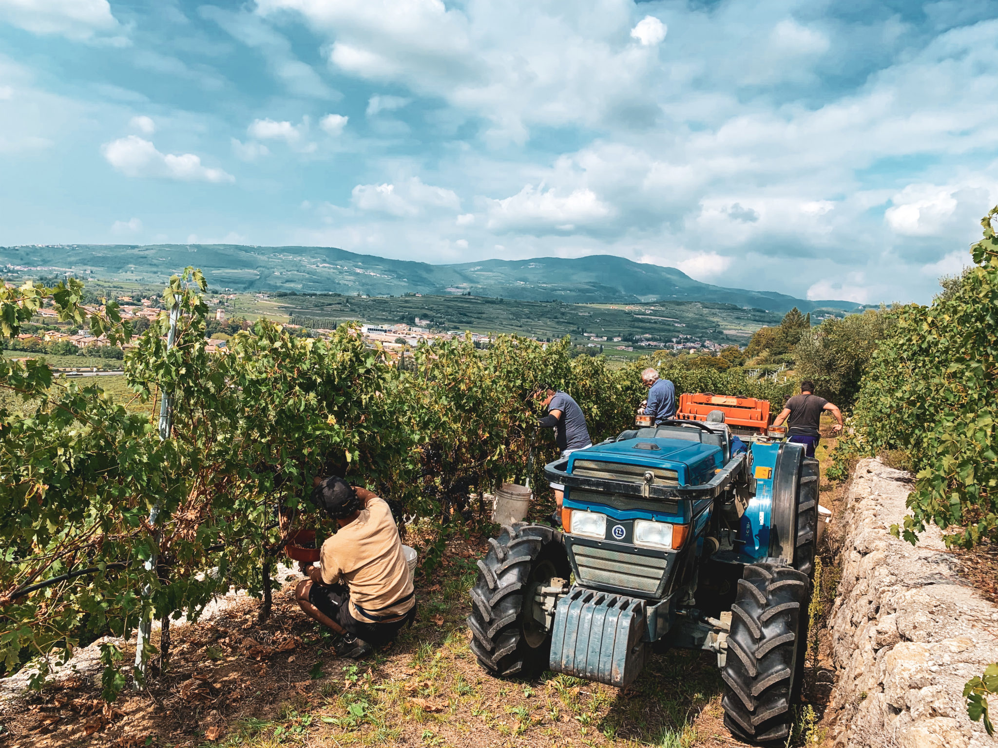 La bottaia della cantina Villa Crine con botti di rovere